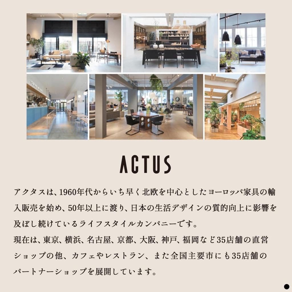 ACTUS Gift Catalog KAZE (Wind) Course (Wrapped/Nokia Brown) with Shopping Bag (S83) | Summer Gift, Birth Return Gift, Wedding Gift, Return Gift