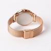 SKAGEN SKW2633 [Parallel Import]