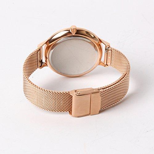 SKAGEN SKW2633 [Parallel Import]