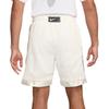 Nike Casual Shorts Men's White Moderate FN2857-133