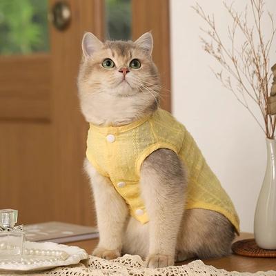 Kitten Cat Clothes Summer Thin Light Breathable Puppet British Short Gold Gradient Spring and Summer Dog Pet Clothes