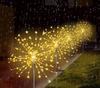 Solar Garden Lamp, Dandelion, Firework, . For The Garden, Christmas