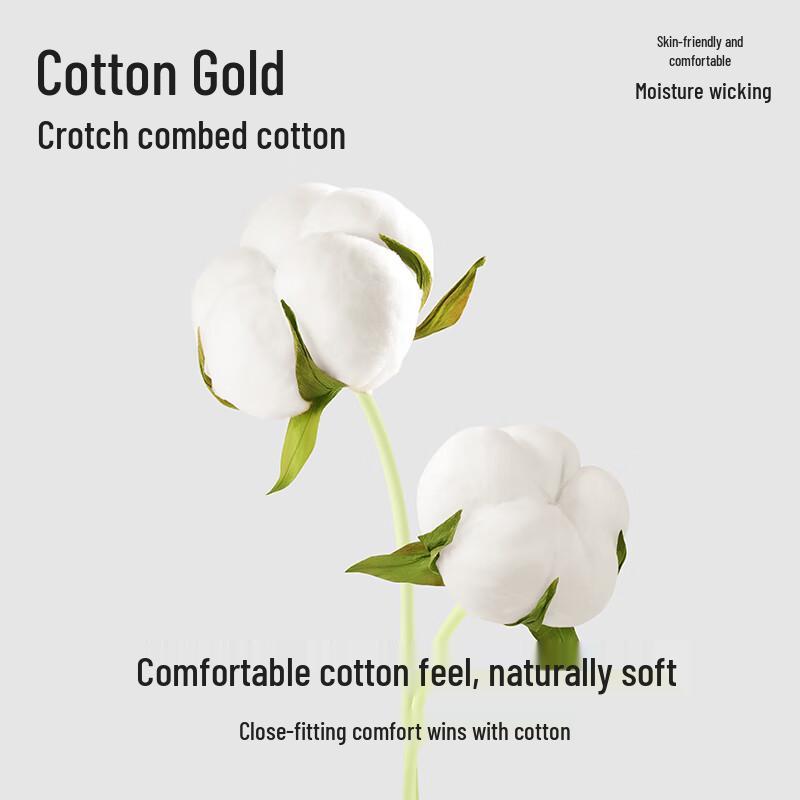 Duoduomian Men's Yu Shi Edition Seamless Antibacterial Boxer Briefs 4-Pack