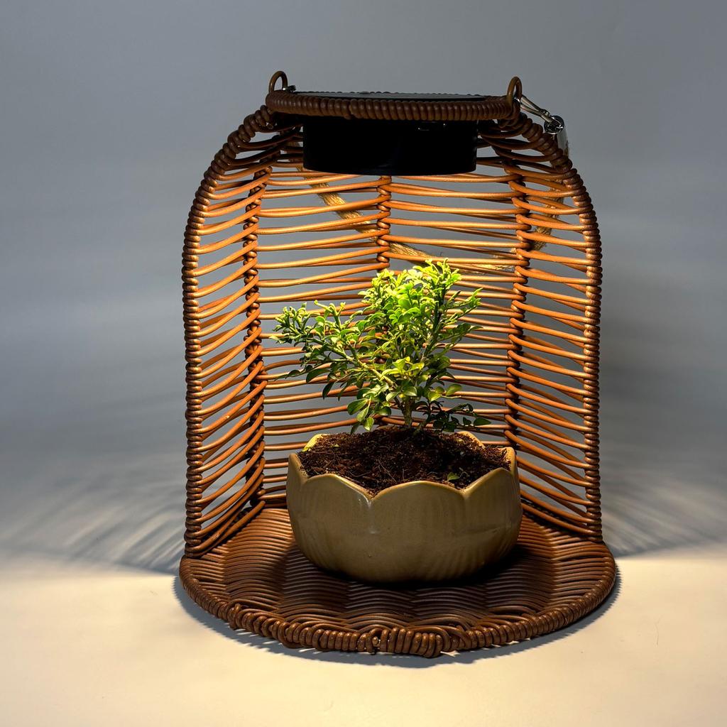 Wisząca Doniczka ze Światłem LED na Energię Słoneczną Wodoodporny Koszyk z Ratanu PC Wisząca Latarnia Doniczka do Dekoracji Ogrodu Podwórka