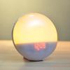 zmart Wake-Up Light Alarm Clock with Sunrise and Sunset Simulation, Dual Alarm, FM Radio, Night Light, 7 Colors, Natural Sounds, Snooze Function,