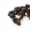 Domestic Hovenia Dulcis Fruit (Jiguja) 3 Pcs 500g