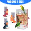 Pack of 2 Automatic Bird Feeder Water Dispenser Set for Parrots Cockatiels Pet Birds Easy Installation