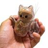 Kedi – Kedi bakım ürünleri