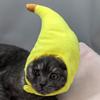 Creative Banana Cat Head Cover Cute Cats Pet Bandana Headwear Plush Cats Cosplay Costumes Banana Headgear Performance Photo Prop