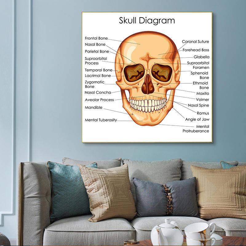 Human Organs Brain Liver Heart Anatomy Poster Print Canvas Painting Human Body Map Medical Classroom Office Room Home Decoration