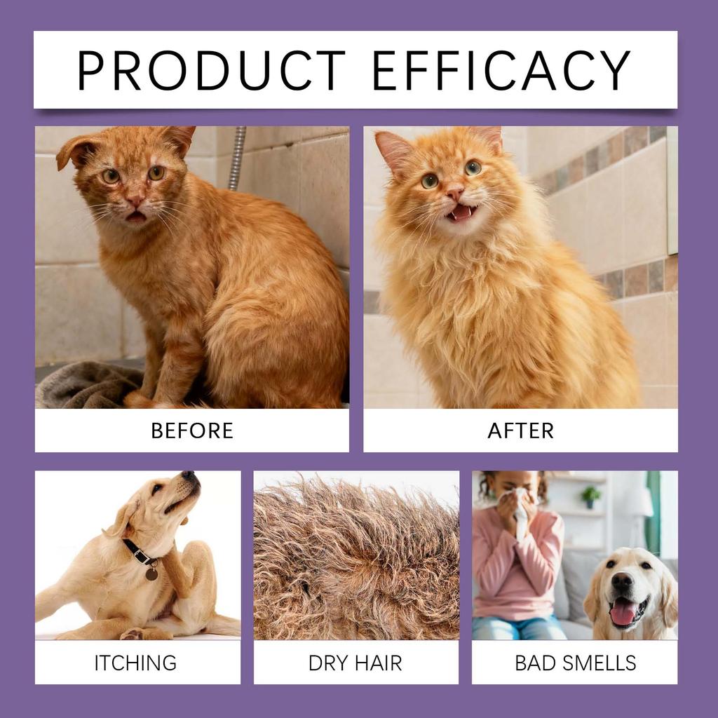 EelJoy 5-in-1 Pet Shampoo, Gentle Cleansing & Coat Care, Smooth & Shiny Fur, Lavender Scent, Shampoo for Cats & Dogs, 100g