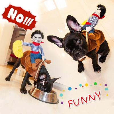 Adorabile cavallo da equitazione Dogme con cappello da cowboy Cane Animale domestico Gatto Divertente Golden Retriever Festa di Halloween Cu