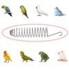 1PC Parrot Feeder Rudina Chicken Vegetable Rack Bird Trough Fruit Fork Feeder Pet Food Rack