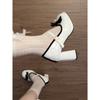 Retro versatile small man height increase thick heel high heels 2026 spring and autumn French with skirt Mary Jane shoes