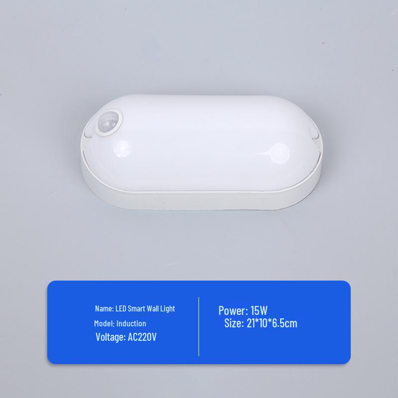 Waterproof LED Motion Sensor Emergency Light for Stairways and Garages