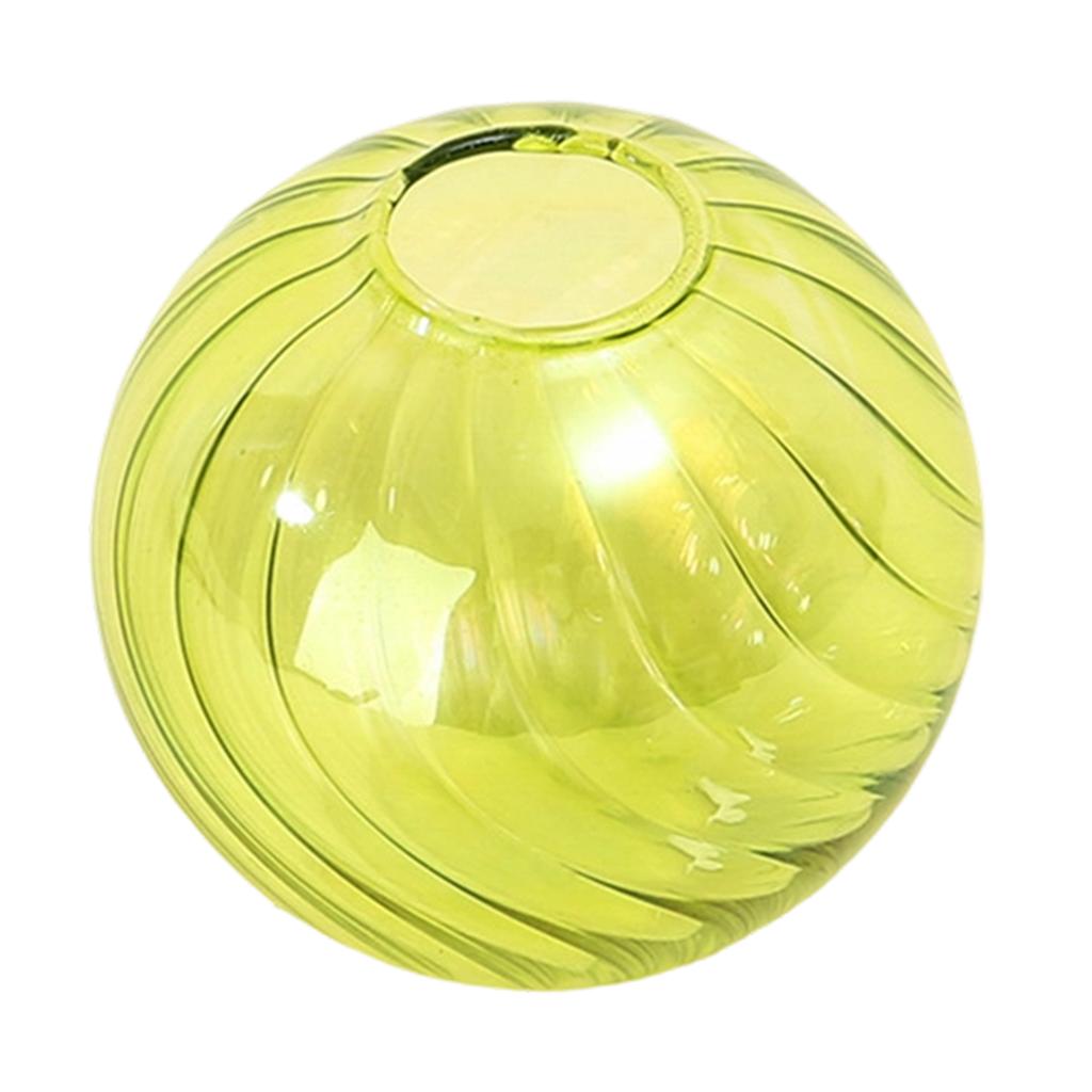 Multipurpose Clear Glass Ball Vases Small Hydroponic Pot Planter for Unique Terrariums Jar and Propagation Stations Display