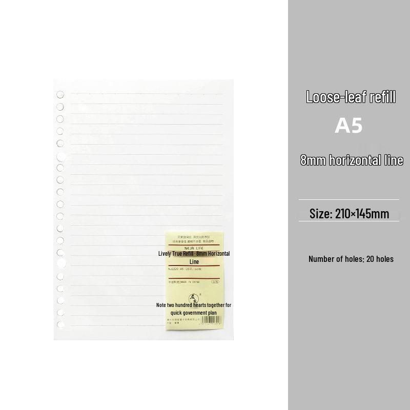 Smooth Loose-Leaf Notebook with Removable Pages for Postgraduate Exams