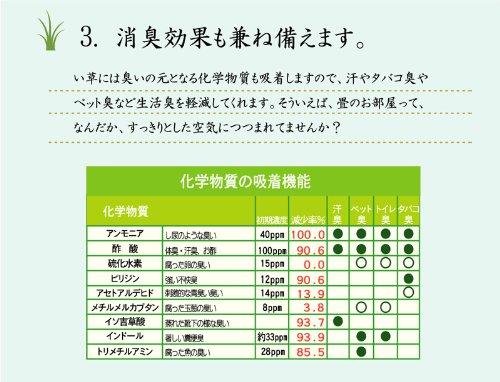 IKEHIKO "DX Marvelous" Igusa Rug, 2-Tatami Size, Blue, Approx. 191 x 191 cm (Non-Woven Backing)