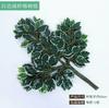 12 Stems Branches with Edges and Green Stems for Home Decor and Floral Arrangements