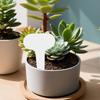 100Pcs White Garden Labels Plant Waterproof Classification Sorting Sign Tag Ticket Plastic Writing Plate Board Plug In Card