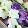 84cm Artificial Gladiolus Branch Real Touch Fake Flowers  Wedding Room Decoration