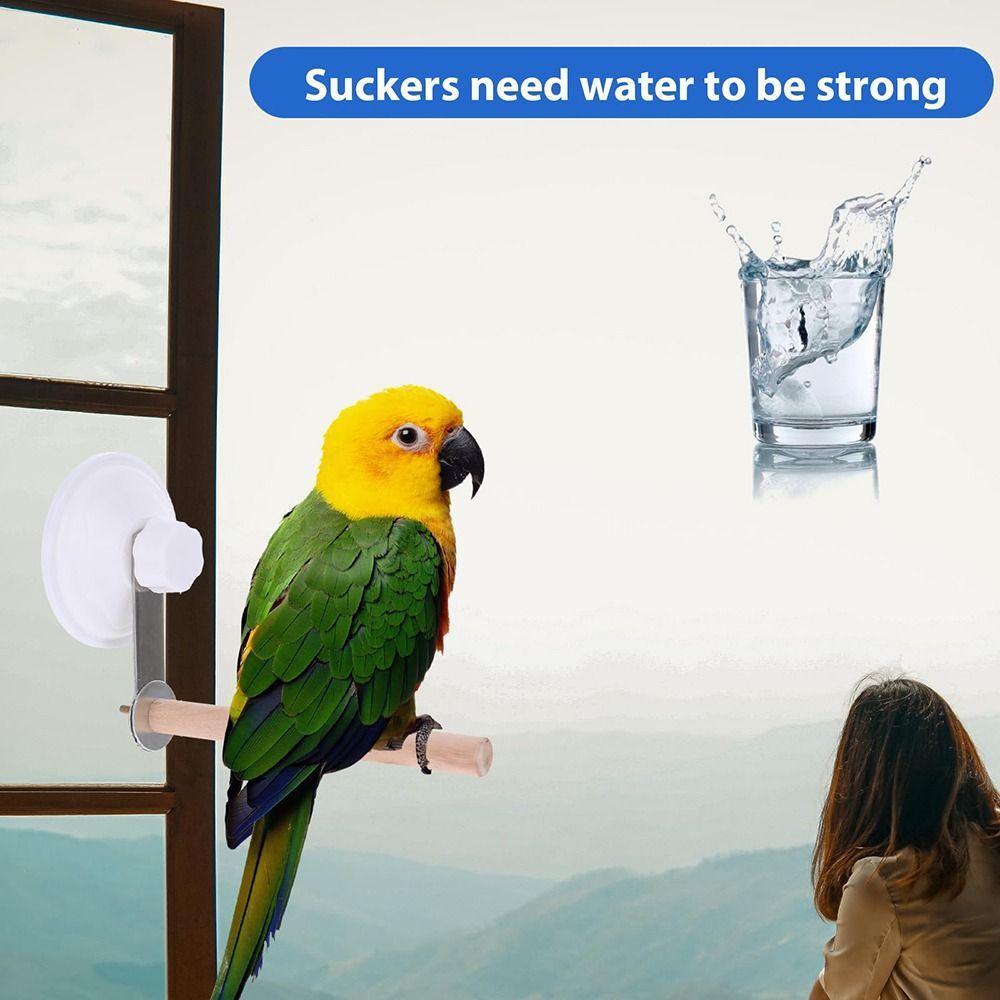 Wood Suction Cup Bird Stand Safe Teeth Grinder Bird Toy Bracket Bird Bath Perch Stand  Sun Birds