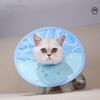Gatos – Cuidados de gatos