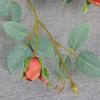Real Touch Artificial Rose Branch 4 Heads Fake Flowers Simulation Rose Flower  Wedding Party Decor