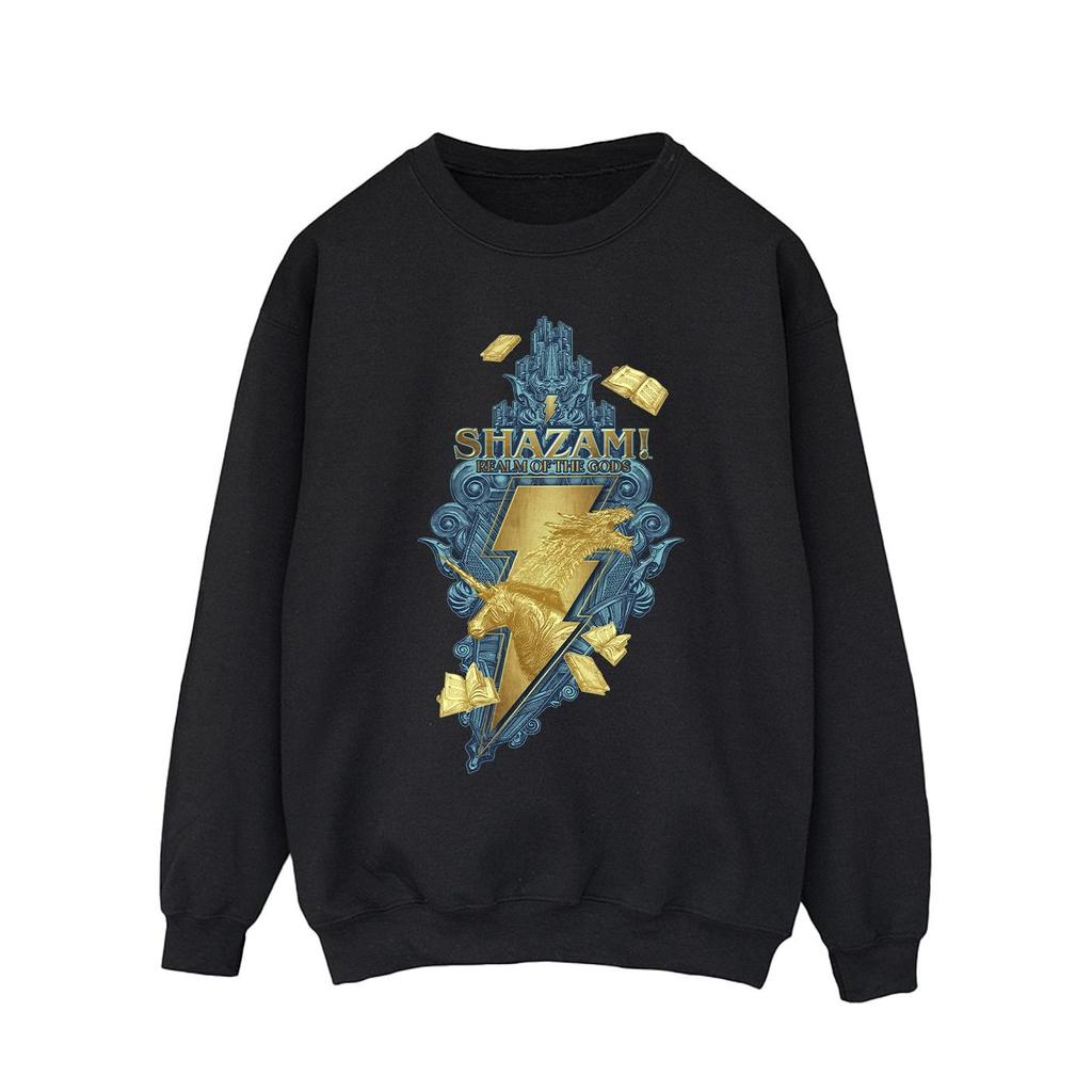 DC Comics Mens Shazam Fury Of The Gods Golden Animal Bolt Sweatshirt