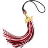 10Pcs Graduation Tassel with Date Mortarboard Tassel Fringe for Graduation Party Decorations Accesorios Graduation Hat Tassel