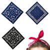 Cooles Bandana Street Dance Bandana Outdoor Aktivität Print Kopftuch für Damen Mann