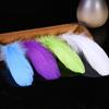Encrypted Colored Turkey Feather Strips for DIY Decorations & Stage Costumes