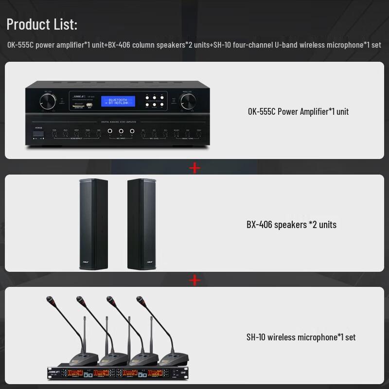 SHILE Professional Conference Audio System