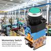 22mm Flachkopf Grün Push Button Momentary Schalter Mit LED Licht 220V