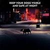 Led Dog Collar , Rechargeable Rainbow Color Changing Light Up Dog Collars, Waterproof Dog Lights Make Pet Visible And Safety For Night Walkingrainbow