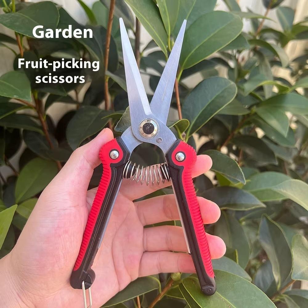 Professional Pruning Shear Branch Scissors Stainless Steel Non-Slip Handle Sharp Fruit Vegetable Pruning Scissors Garden Tools