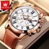 OLEVS Big Dial Roman Scale Quartz Watch For Men Waterproof Luminous Men's Hand Clock Moon Phase Original Fashion Man Watch