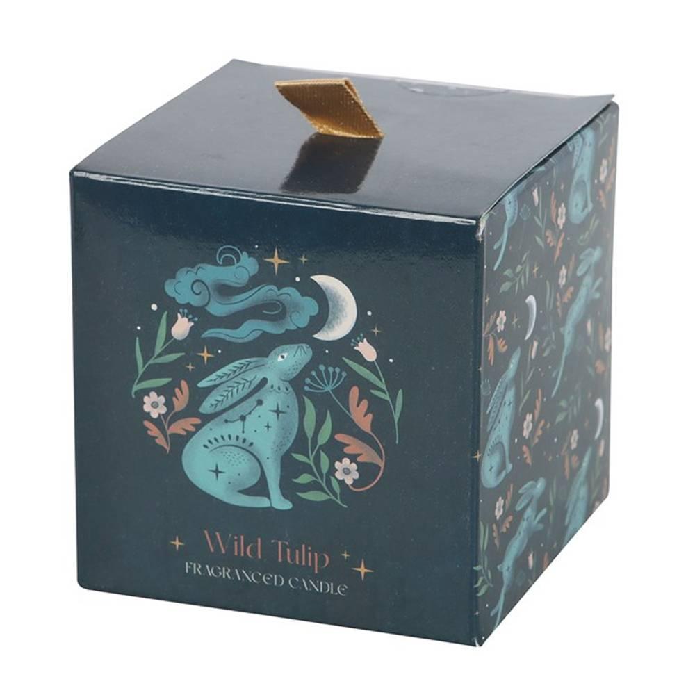 Something Different Wild Tulips Midnight Hare Candle