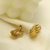 Stainless Steel Earrings, Line Shape 316 Titanium Steel Material, High-End Sense, Personality, Niche, Special-Shaped Geometric Girls