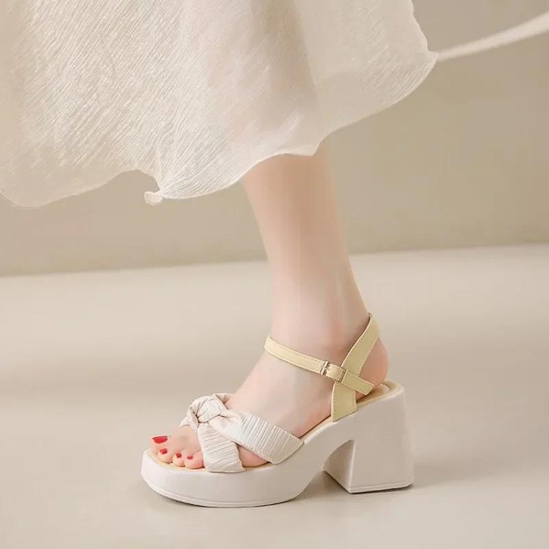 Moda 2024 Nowa Moda Lato Odkryty Okrągły Nosek Dolna Klamra Płytka Cholewka Casual Gruby Wysoki Obcas Duże Damskie Sandały 35-41