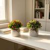 Full Sky Star Artificial Flower Pot For Home Decor And Photography Prop