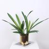 Study Decorative Artificial Clivia Leaves Plants Fake Flower Bedroom Decoration Simulated Cymbidium Leaf Green Plant Floral