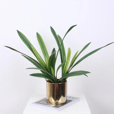 Study Decorative Artificial Clivia Leaves Plants Fake Flower Bedroom Decoration Simulated Cymbidium Leaf Green Plant Floral