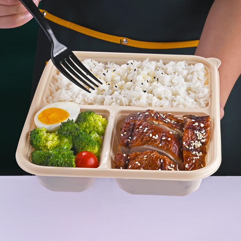 WS Biodegradable Corn Starch Takeaway Food Containers