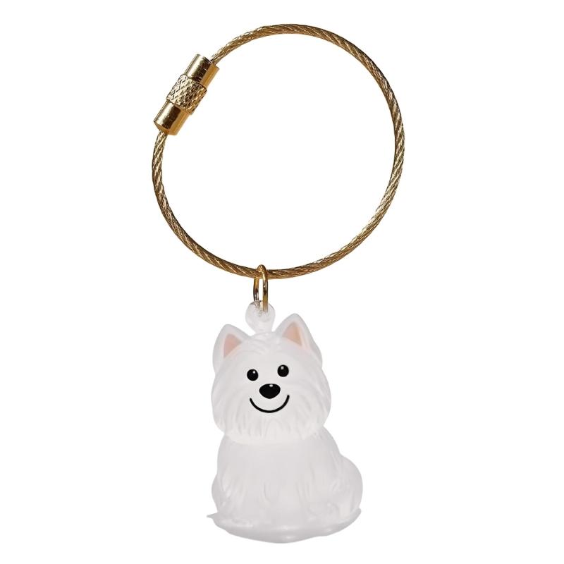 Elegante Chaveiro Memorial para Perda de Animal de Estimação Apresenta Compartimento Visível para Armazenamento de Pelos e Chaveiro Durável para Caixa de Pelos de Animal de Estimação