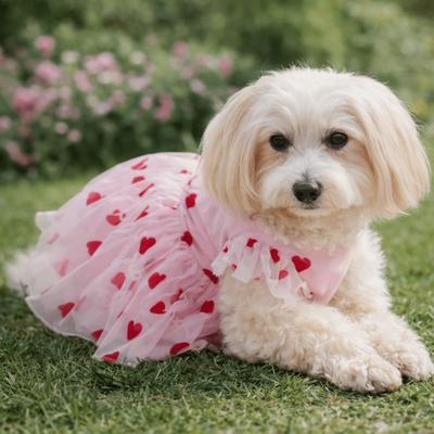Heart Printed Dog Tulle Skirt Thin Breathable Dreamy Pet Princess Dress Soft Ruffle Trim Love Pattern Dresses Pet Photography