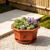 Spacious Flower Containers for Home Decor Hexagonal Pot with Drainage Holes & Saucer Indoor Outdoor Plants, Durable Weather Resistant Plastic