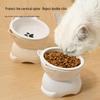 Ceramic Cat Food & Water Bowl with Slanted Mouth and Elevated Design