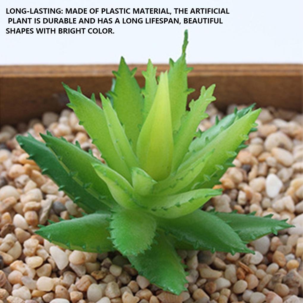 12 Stück Künstliche Sukkulente Topfpflanzen Dekorative Simulationspflanzen Party Realistische Sukkulenten Balkon Geschenk Farbe Zufällig