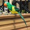 Multicolor Artificial Bird Model Foam Garden Decorative Bird Simulation Parrot  Garden Ornament
